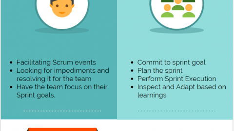 what is a scrum team roles and characteristics