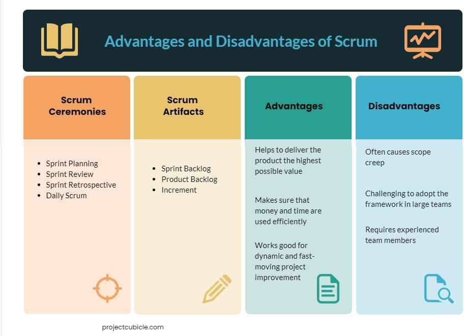 Canned Software Advantages And Disadvantages