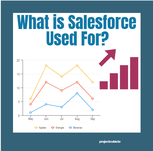 What Is Salesforce Used For