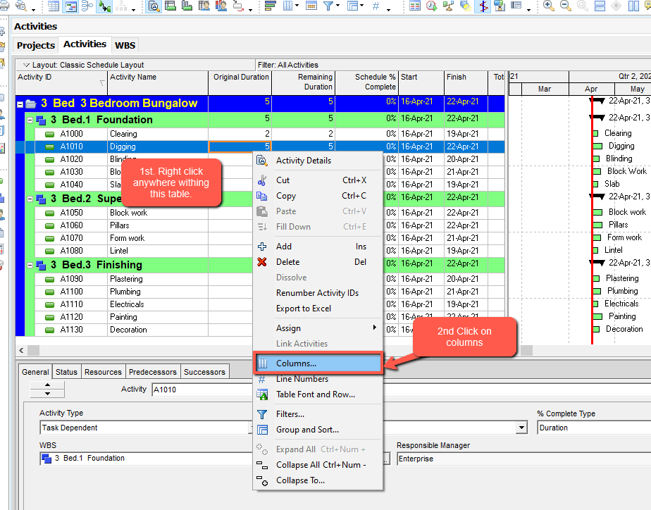 predecessor column primavera p6