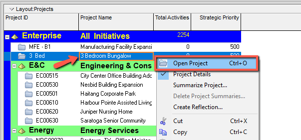 Primavra P6 Open Project