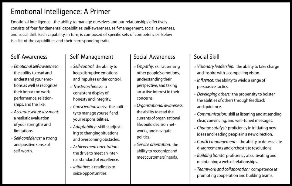 Emotional Intelligence A Primer-Min
