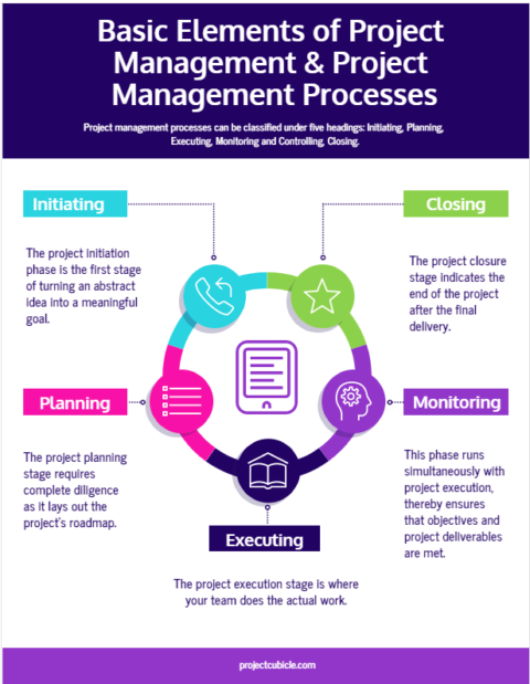 Basic Elements of Project Management & Project Management Processes-min
