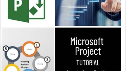 Microsoft Project Tutorial Introduction to Baselines