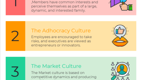 What Is The Meaning Of Company Culture different types of company culture-min