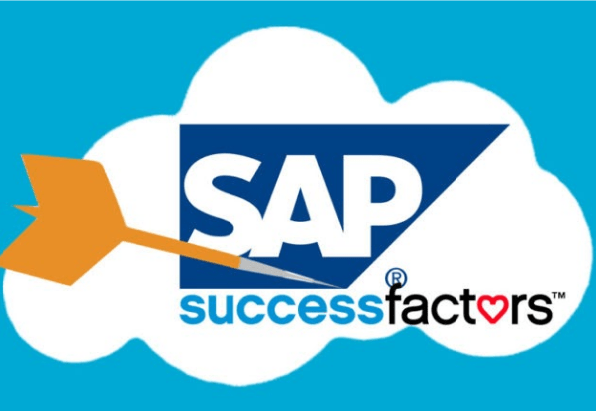 Risk Analysis In Sap Grc-Min