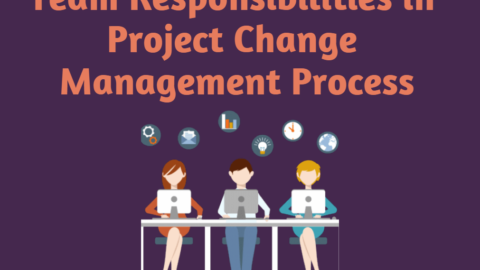 Team Responsibilities in Project Change Management Process