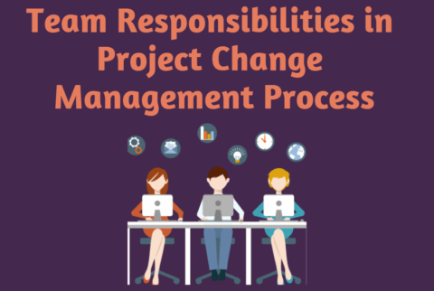Team Responsibilities in Project Change Management Process