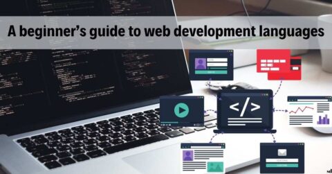 A beginner’s guide to web development languages software developer