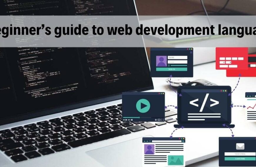 A beginner’s guide to web development languages software developer