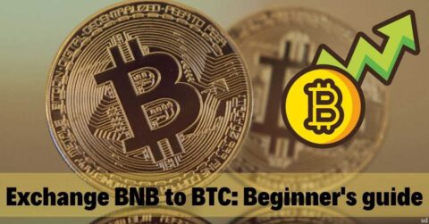 Exchange BNB to BTC Beginner's guide