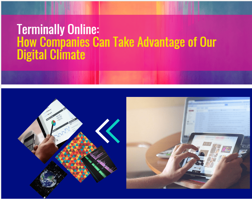 Terminally Online How Companies Can Take Advantage Of Our Digital Climate-Min