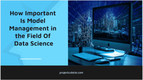 How Important Is Model Management in the Field Of Data Science-min