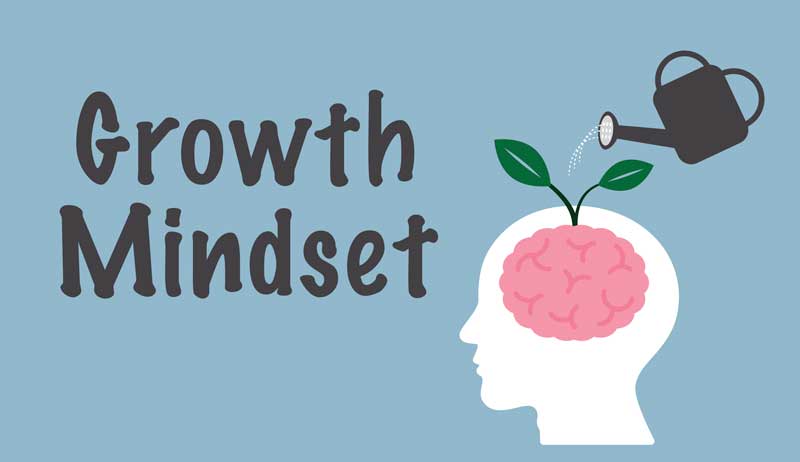 Importance of the Growth Mindset Development - projectcubicle