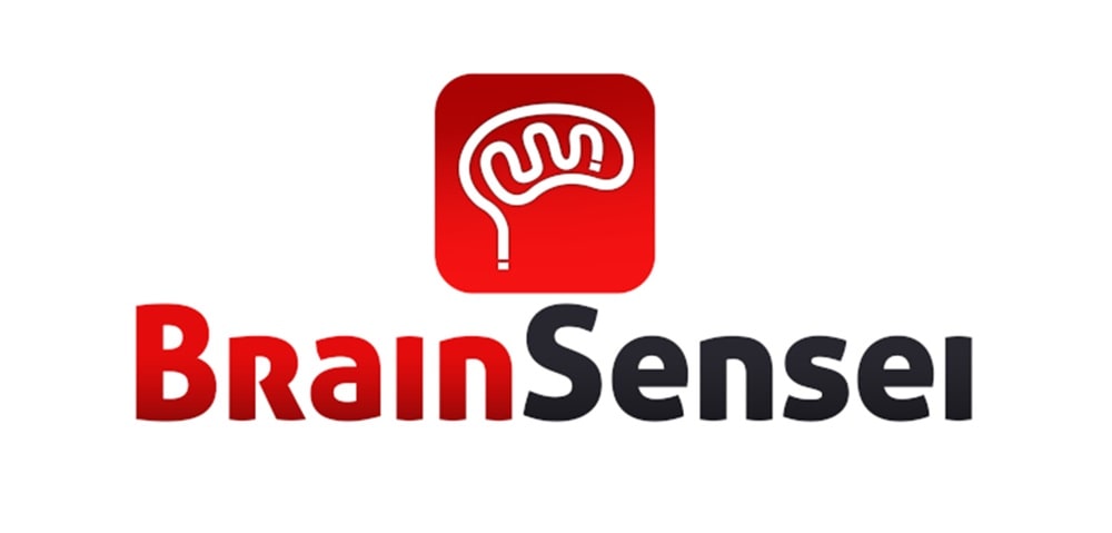 Project Manager Course - Project Management Courses Brain Sensei-Min