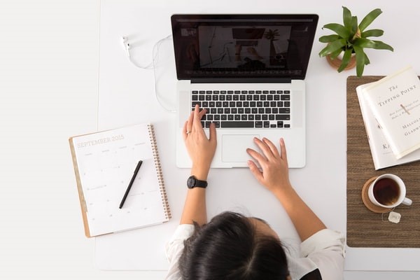 How To Read A Background Check