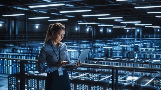 It Manager -Min