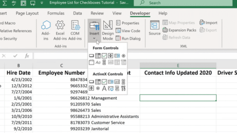 Excel cell a checkbox