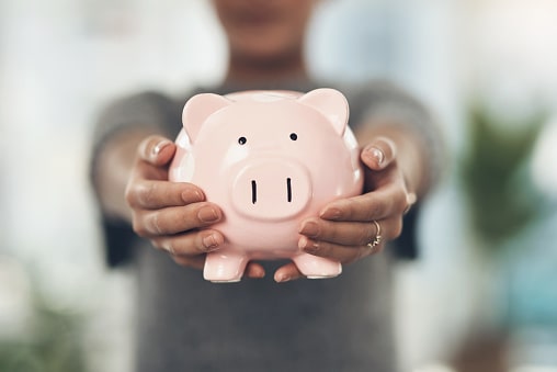 Frugal Householders-Min