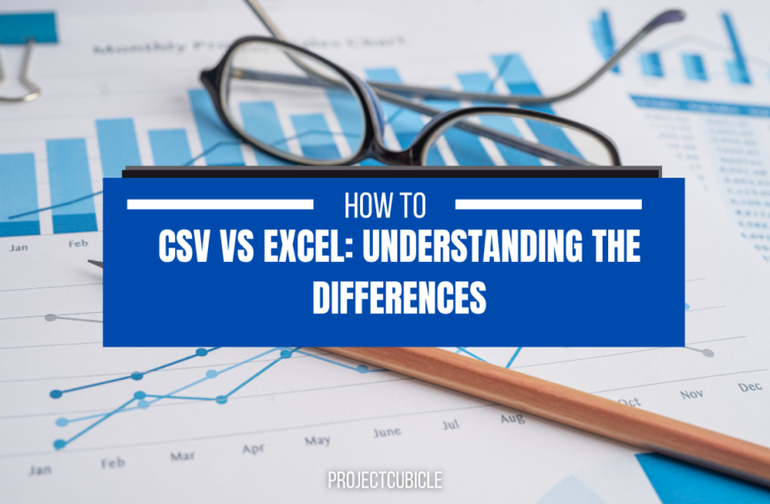 CSV vs Excel: Understanding the Differences