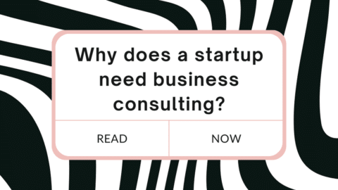 startup need business consulting