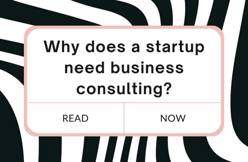 startup need business consulting