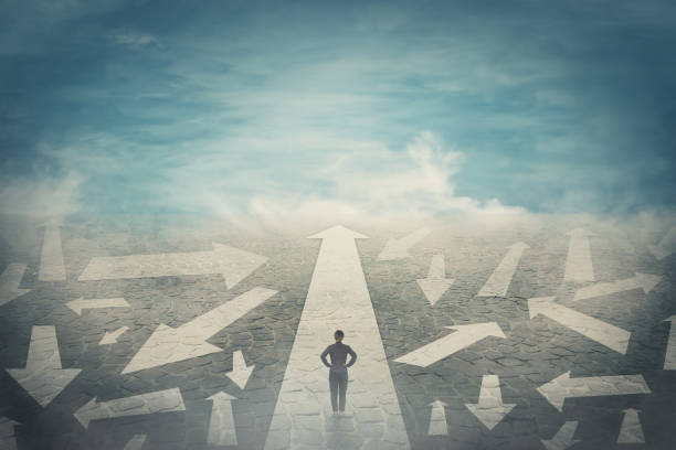 Career Path