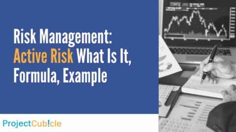 Risk Management: Active Risk What Is It, Formula, Example