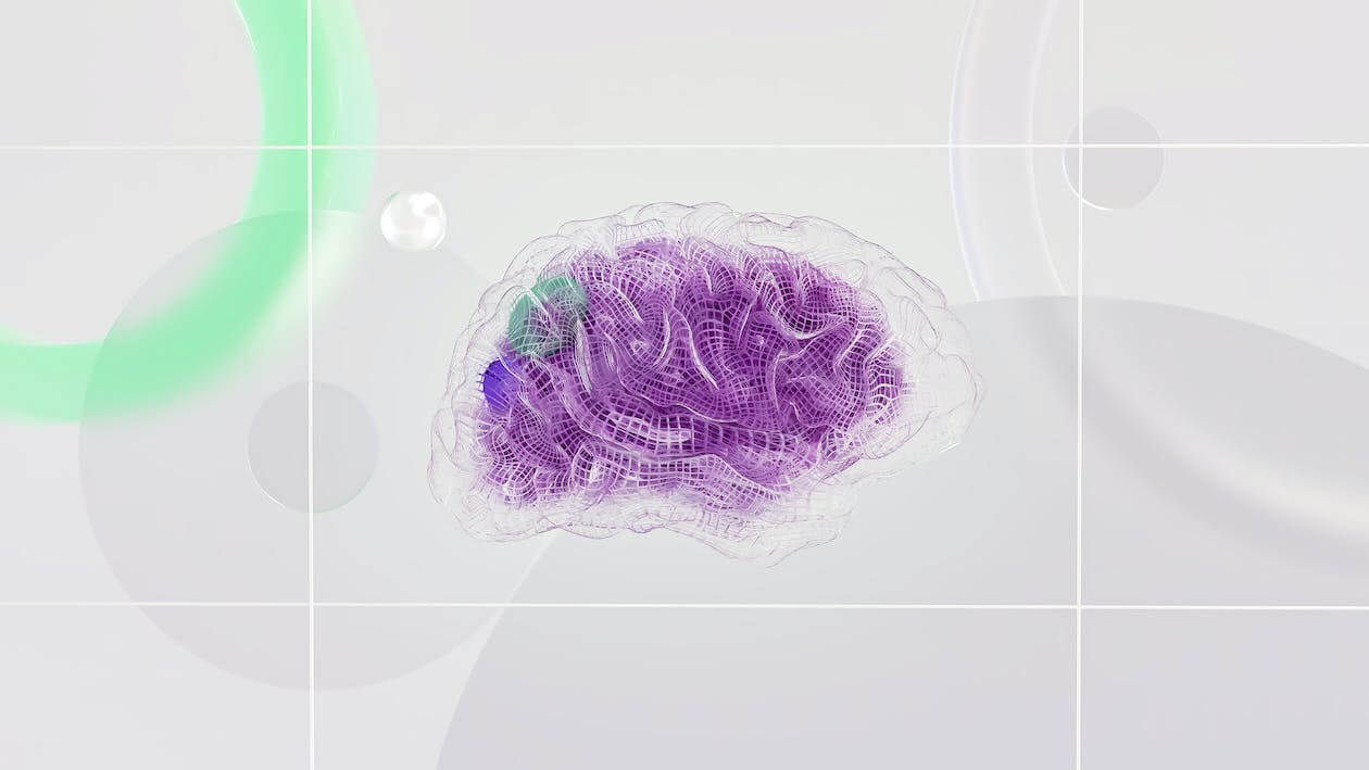 How To Use 3D Visualization