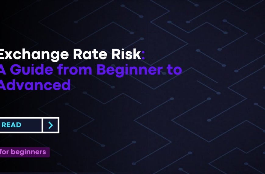 Exchange Rate Risk: A Guide from Beginner to Advanced