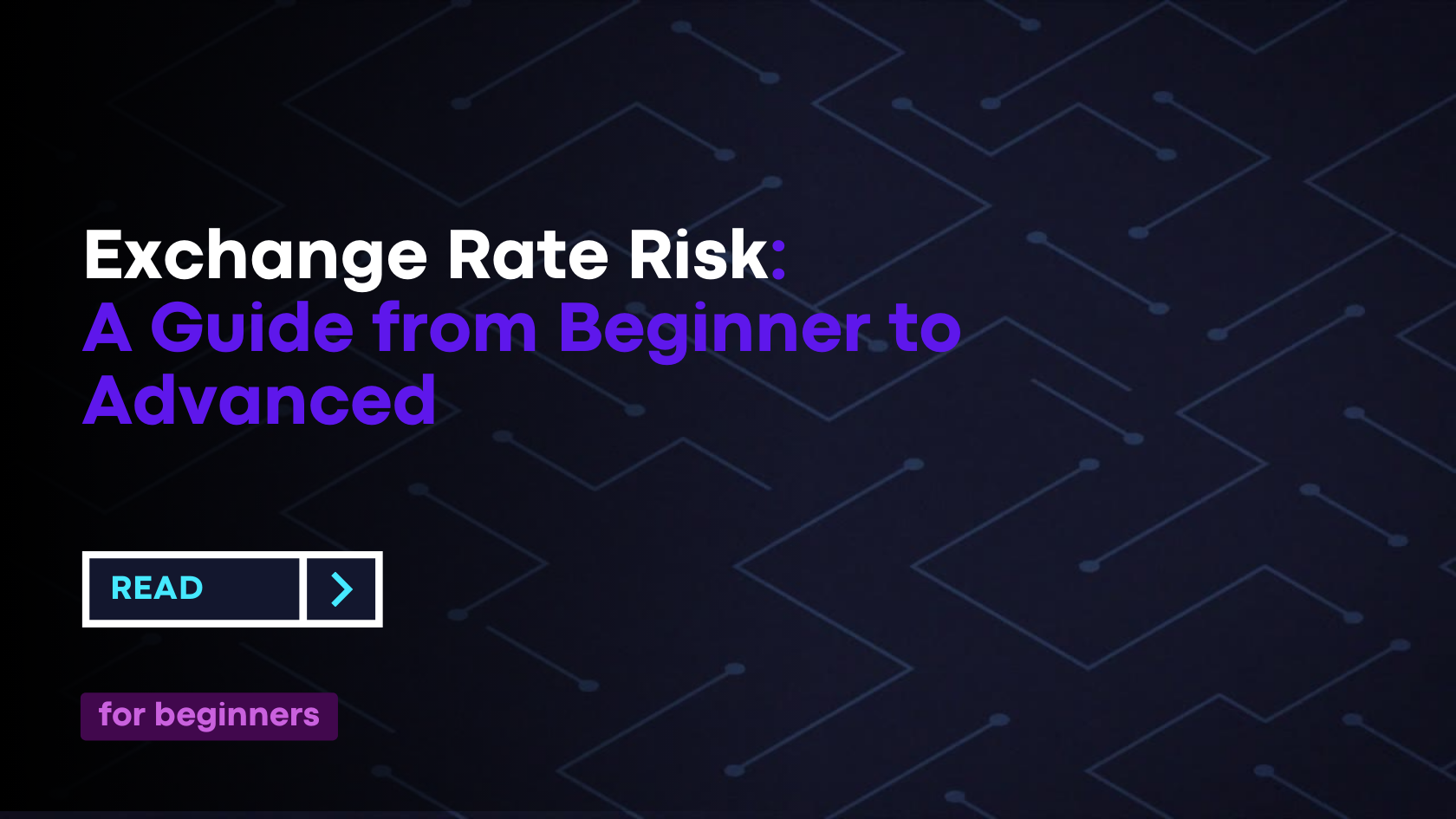 Exchange Rate Risk: A Guide From Beginner To Advanced