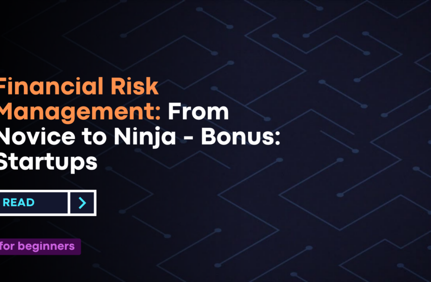 Financial Risk Management: From Novice to Ninja - Bonus: Startups