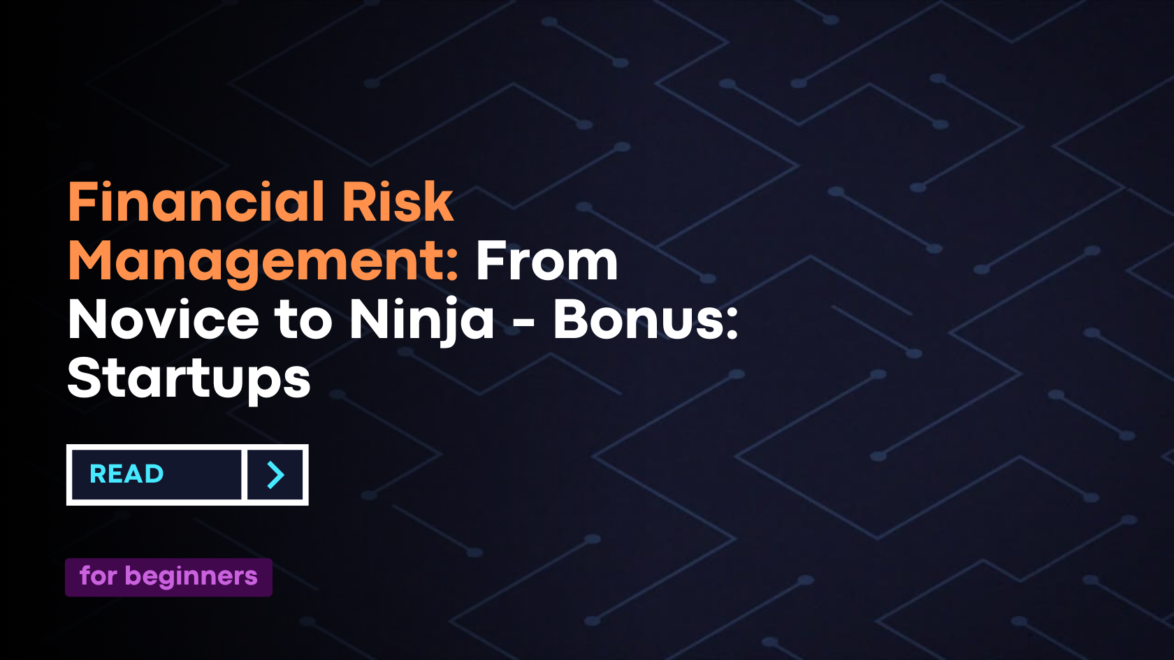 Financial Risk Management: From Novice To Ninja - Bonus: Startups