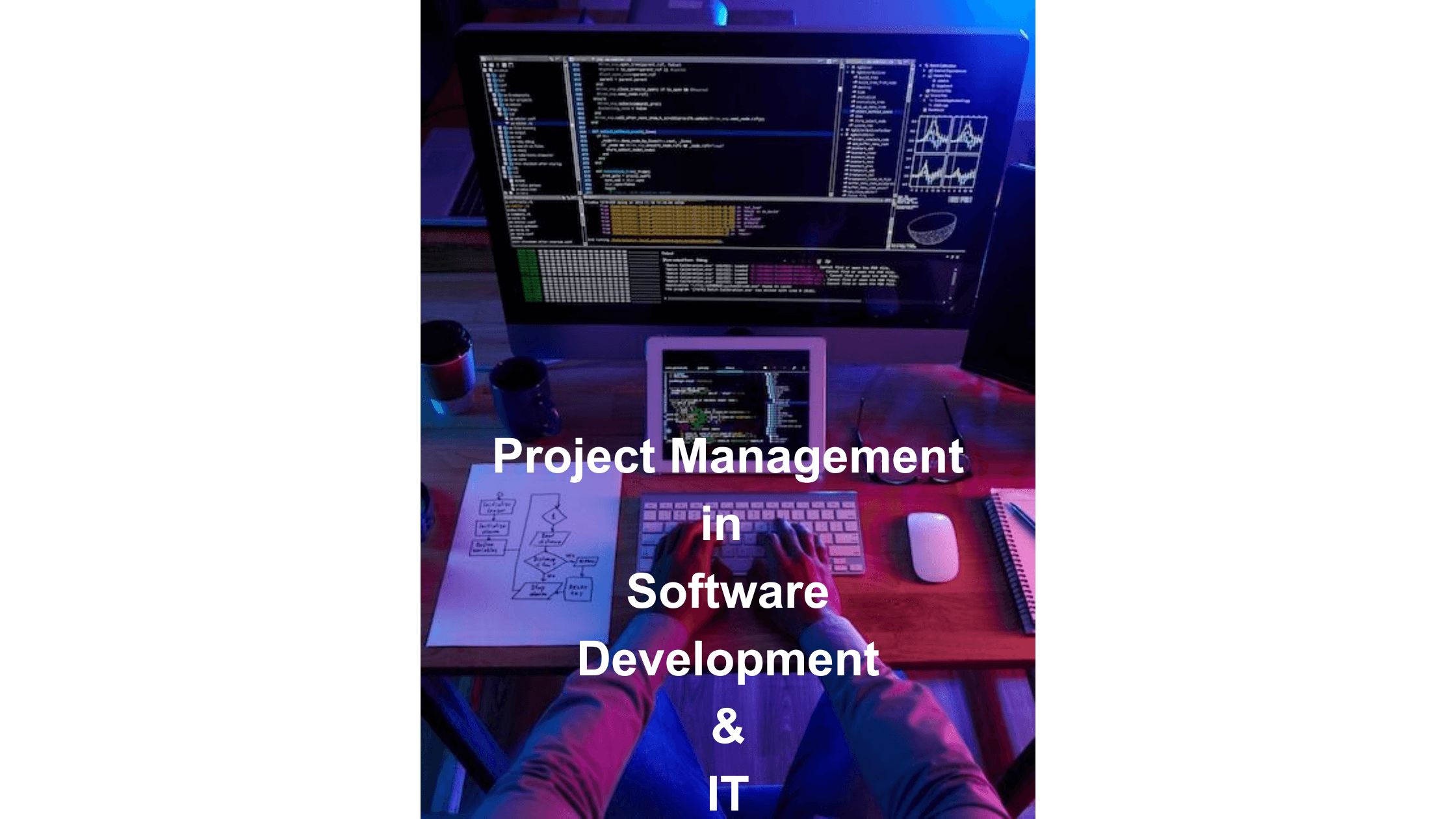 Efficient Project Management In It And Software Development
