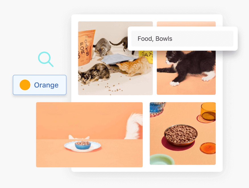 Image Tagging Software