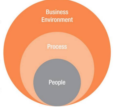 All domains: people andprocesses exist within the business environment