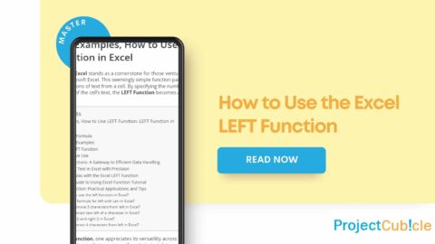 LEFT Function in Excel