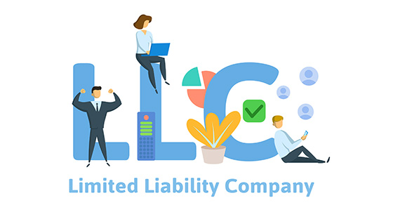 limited liability company