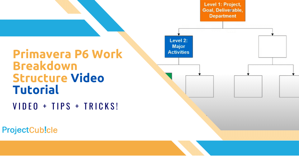 Primavera P6 Work Breakdown Structure Video Tutorial