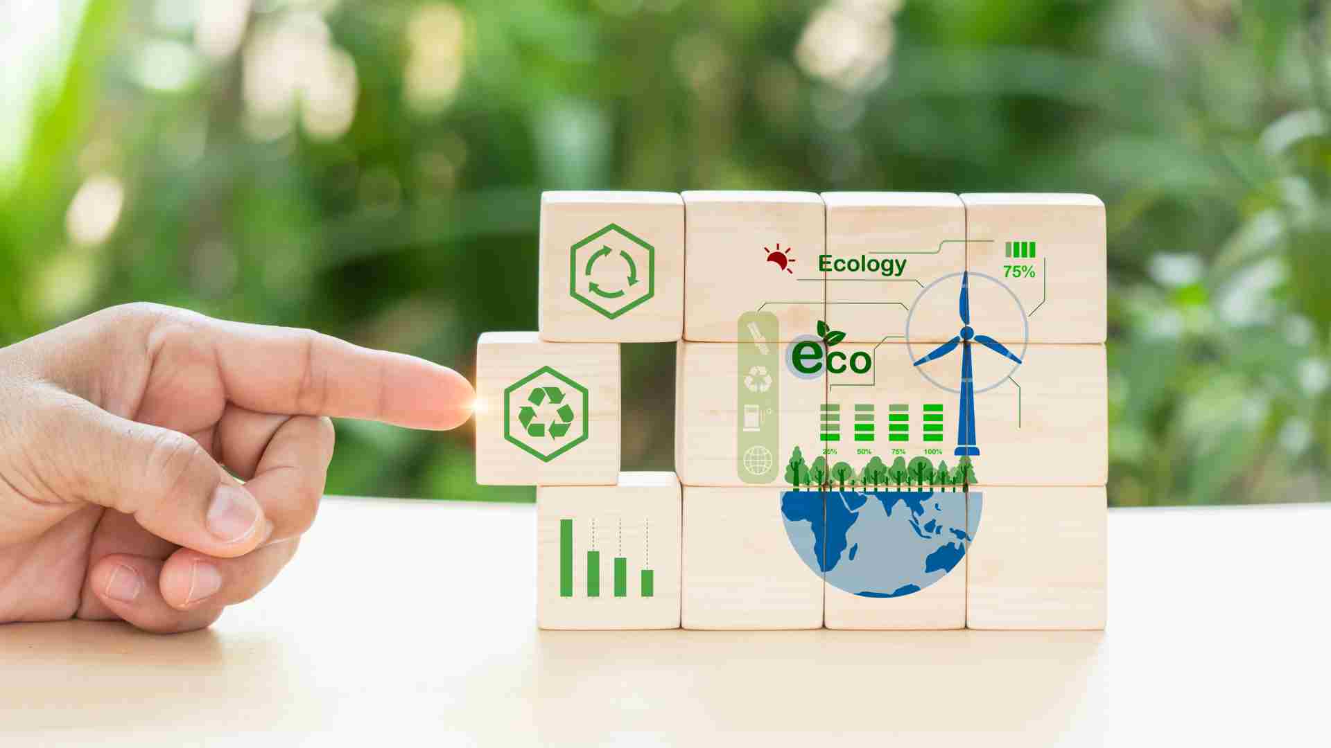 Green Innovation Business Strategy And The Environment