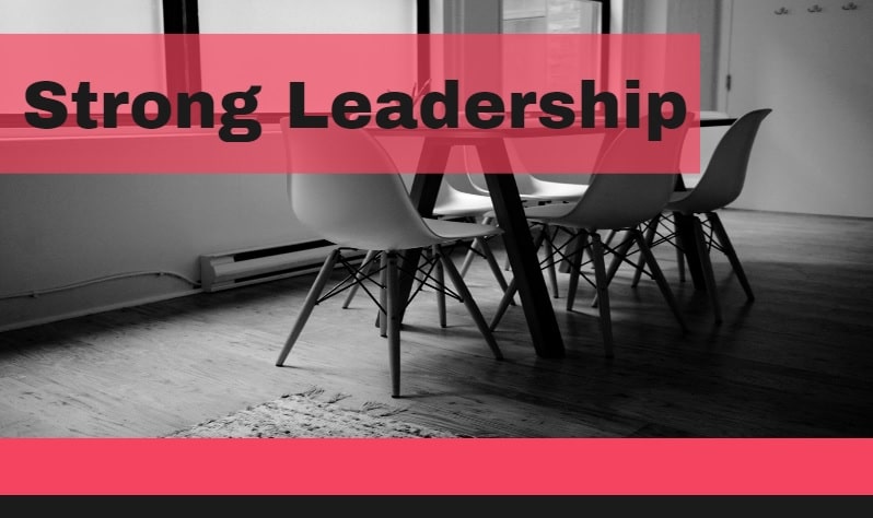 The Importance Of Strong Leadership In Non-Profits-Min