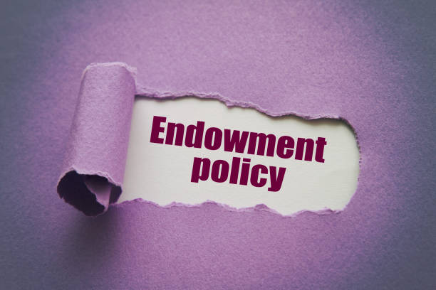 Endowment Plan 1