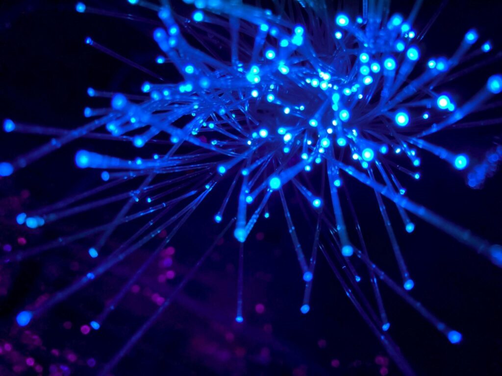 Fiber Net