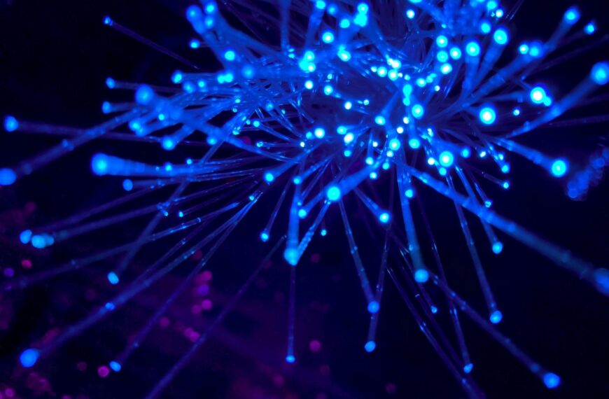 Fiber Net